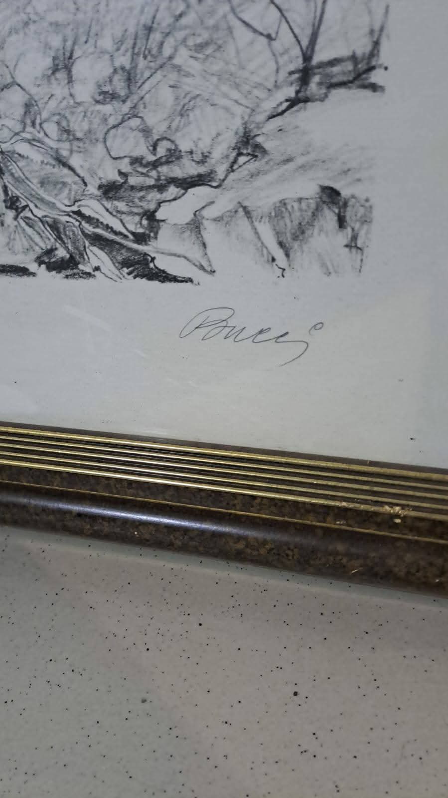 Prova D'autore Bucci Incorniciata