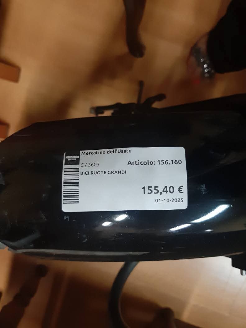 Bici Ruote Grandi