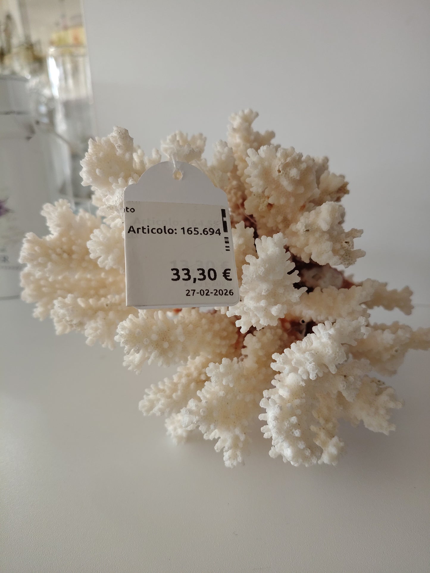 Corallo Bianco