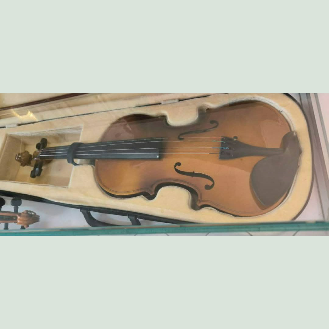 Violino Da Studio Con Custodia