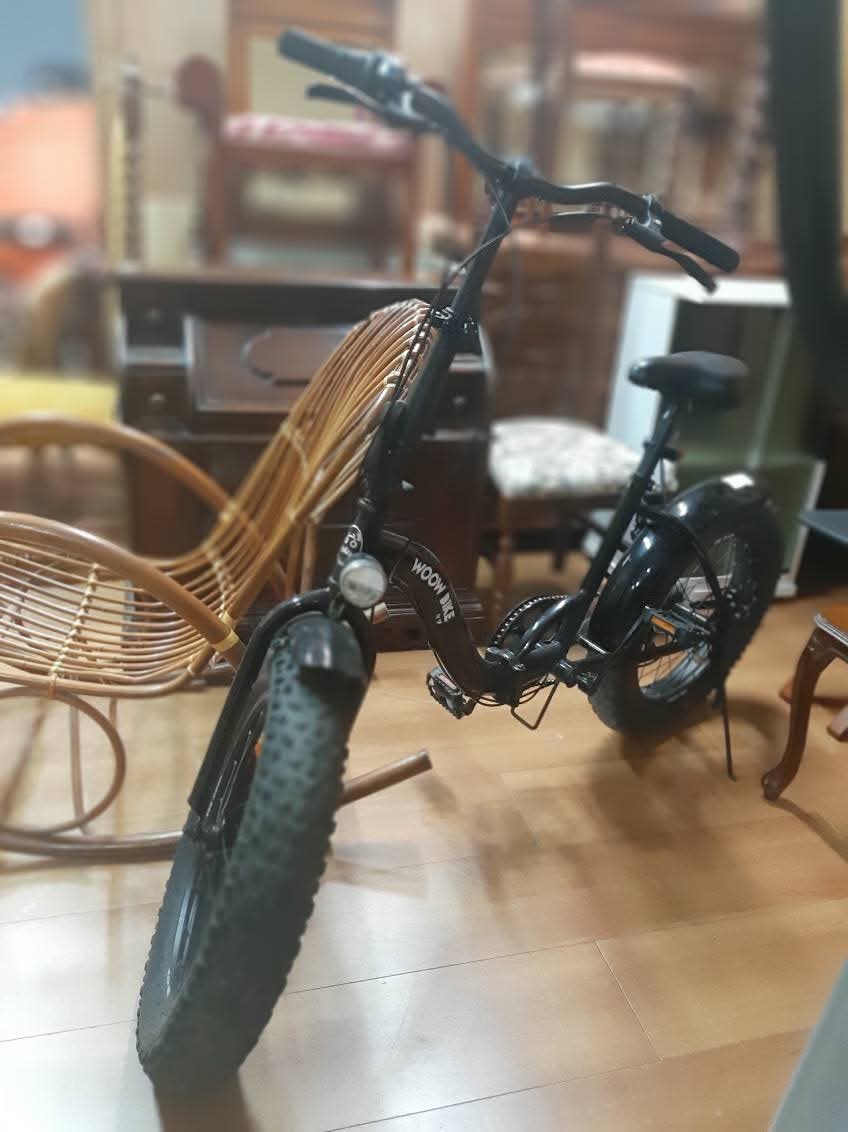 Bici Ruote Grandi