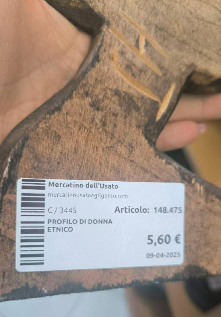 Profilo Di Donna Etnico