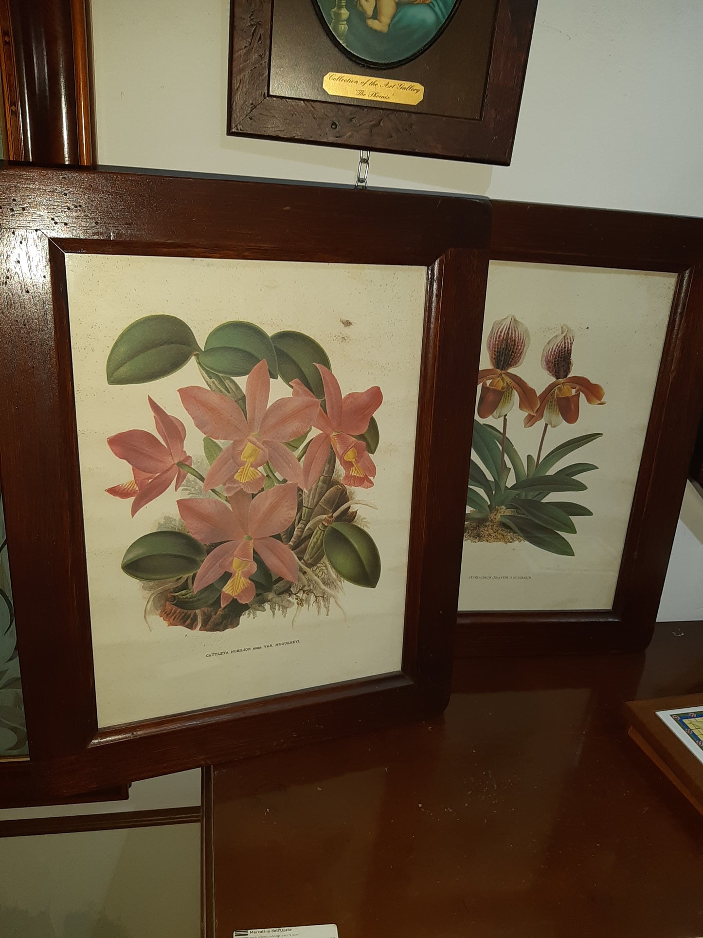 Quadro Cornice In Legno Arte Povera Stampa Botanica