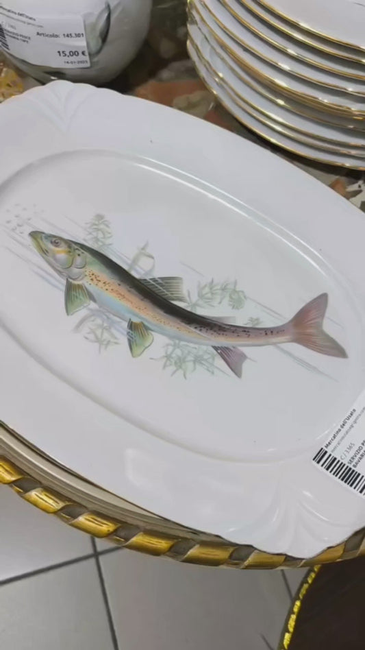 SERVIZIO PESCE
BAVARIA 13PZ