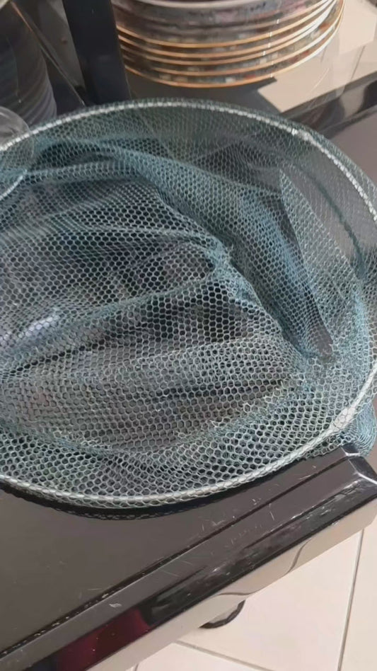 Retino Da Pesca