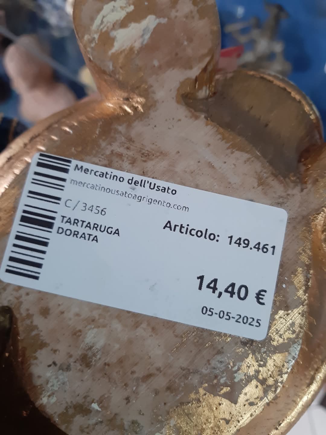 Tartaruga Dorata
