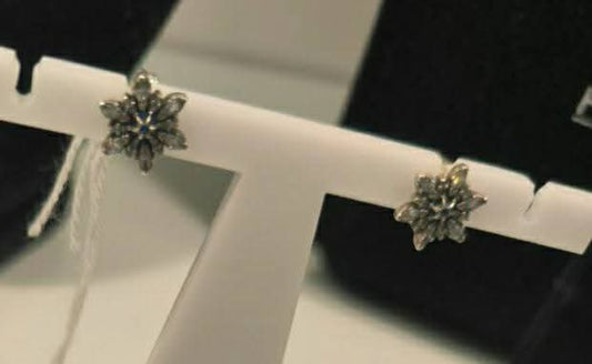 Orecchini Pandora  Stella Zirconia