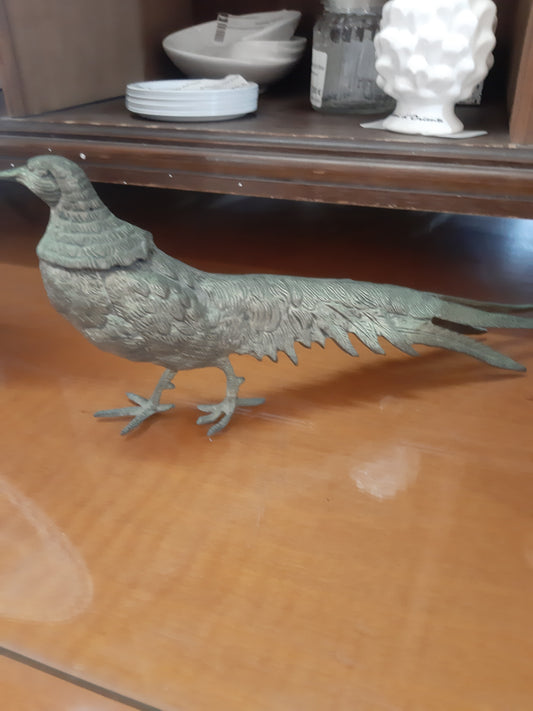 Pavone In Ottone