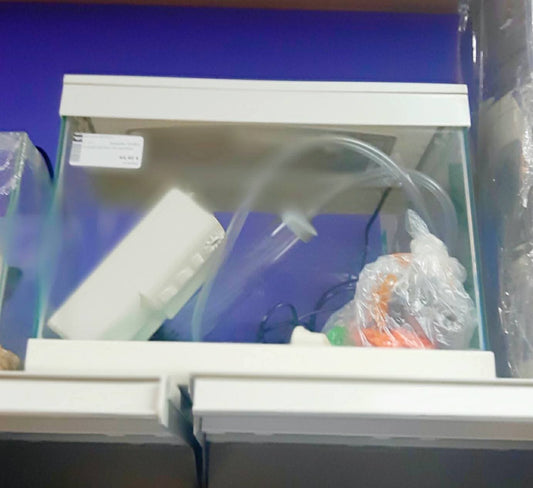Acquario Per Pesci Con Accessori