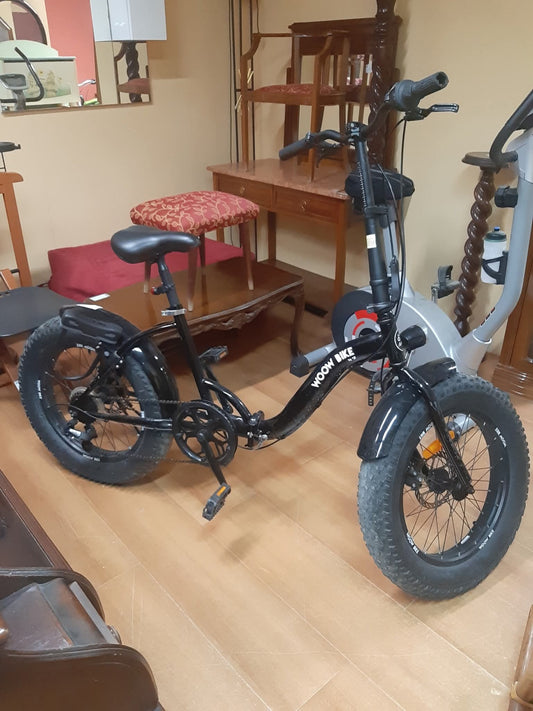 Bici Ruote Grandi