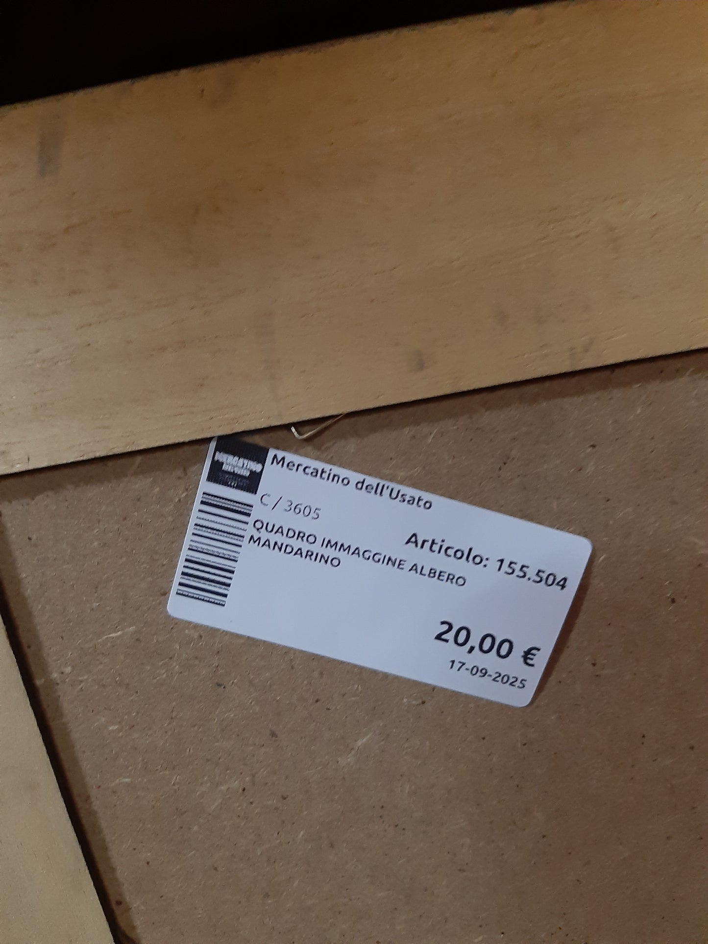 Quadro Immaggine Albero Mandarino