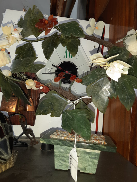 Bonsai In Giada