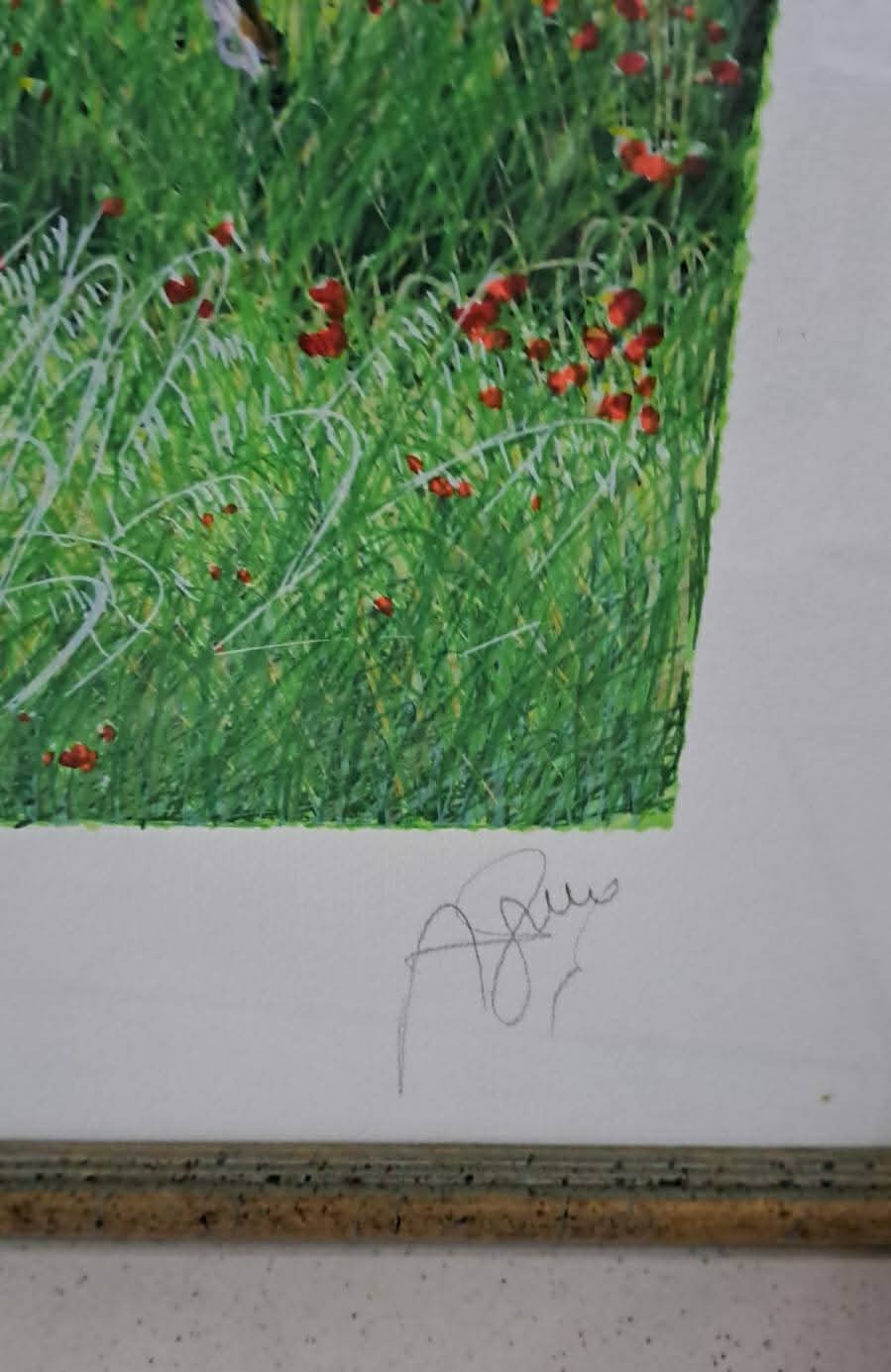 Litografia Azzinari