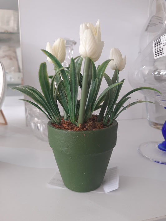 Vasetto In Terracotta Con Tulipani